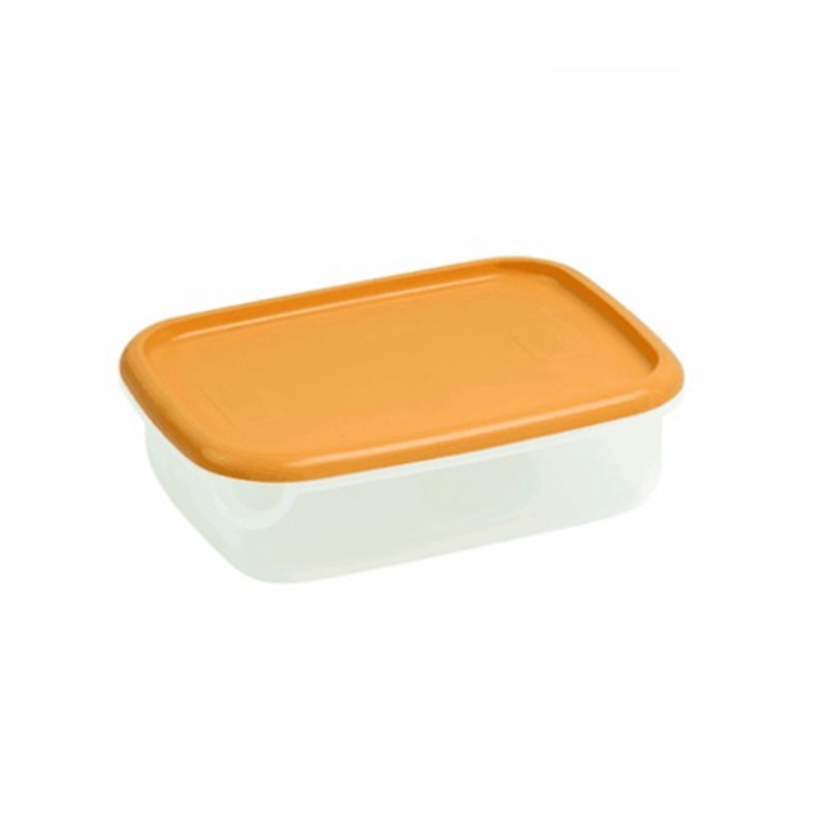 food lunch box mould